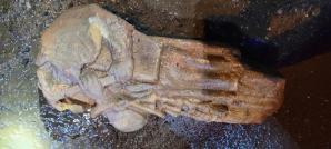 [VIDEO] Czy na policji w Nowej Rudzie doszło do wycieku informacji? Biuro Rutkowski zawiadamia Komendę Główną Policji!