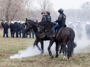 [VIDEO] Atestacja konia służbowego: gwarancja najwyższych standardów wyszkolenia w Komendzie Stołecznej Policji