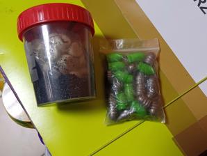 [VIDEO] Wsiadł do cudzego auta i groził pasażerce śmiercią, został tymczasowo aresztowany