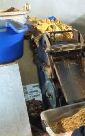 Zlikwidowane kolejne linie produkujące krajankę tytoniową