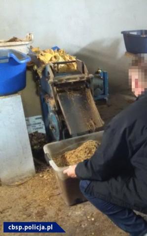 Kalisz: Zlikwidowane kolejne linie produkujące krajankę tytoniową