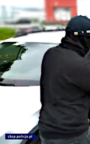 [VIDEO] Funkcjonariusze zlikwidowali plantację konopi, na której rośliny sięgały nawet 2 metrów