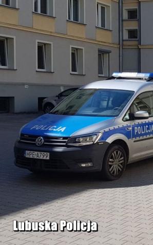 [VIDEO] Zlikwidowana plantacja konopi indyjskich - dzielnicowi z Kargowej skuteczni w zwalczaniu przestępczości narkotykowej