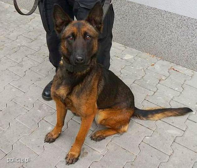 Kasja odnalazła zaginionego mężczyznę