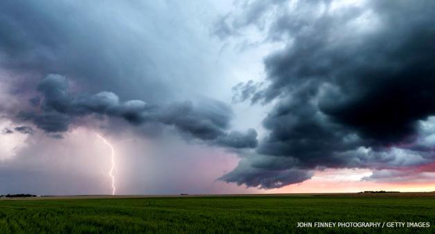 [VIDEO] Ulewa, gradobicie, powalone drzewo i straty w Zielonej Górze!
